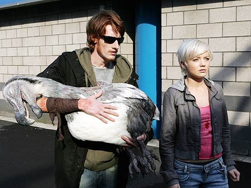 Photo de l'épisode #1.04